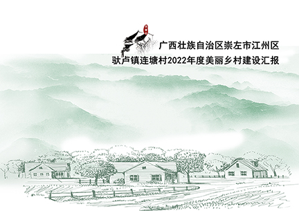 广西崇左市江州区驮卢镇连塘村2022年度美丽乡村建设项目建议书